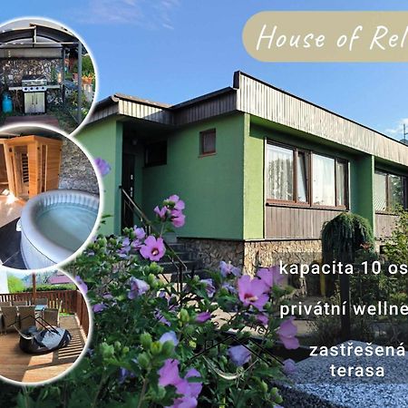 House Of Relax Villa Recany nad Labem Buitenkant foto
